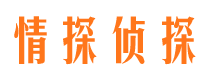 芦山市婚外情调查